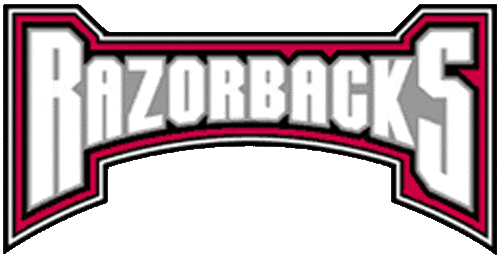 Arkansas Razorbacks 2001-2008 Wordmark Logo v5 iron on transfers for T-shirts